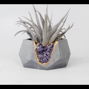 Amethyst geode air plant holder